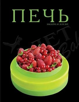 Журнал "Печь" июнь 2017 г.